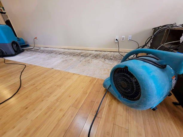 Professional Burst Pipe Water Damage technician working in Frost, MN